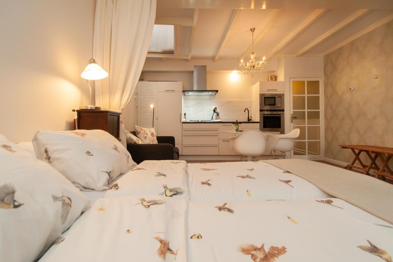 Casasdecasper - Studio Alkmaar Kültér fotó